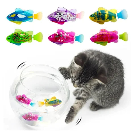 PurrSplash Fish