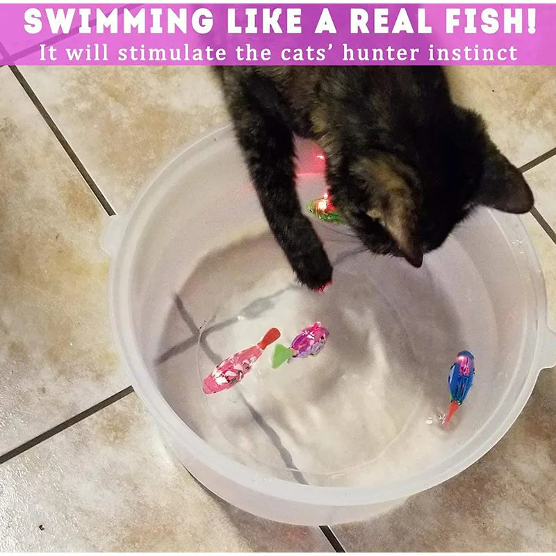 PurrSplash Fish